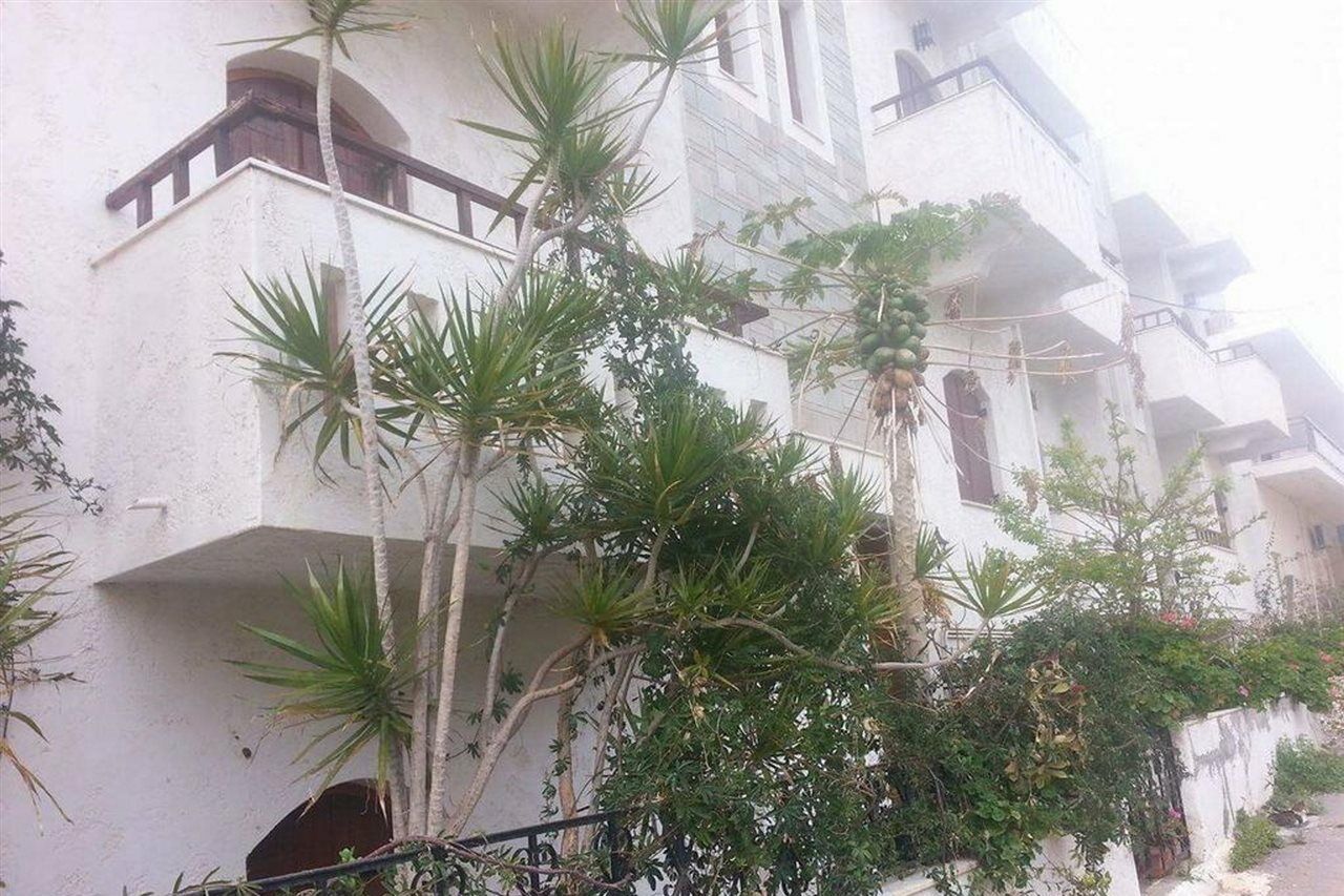 Irene Apartments Malia  Exterior photo